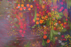 BEYOND THE GARDEN