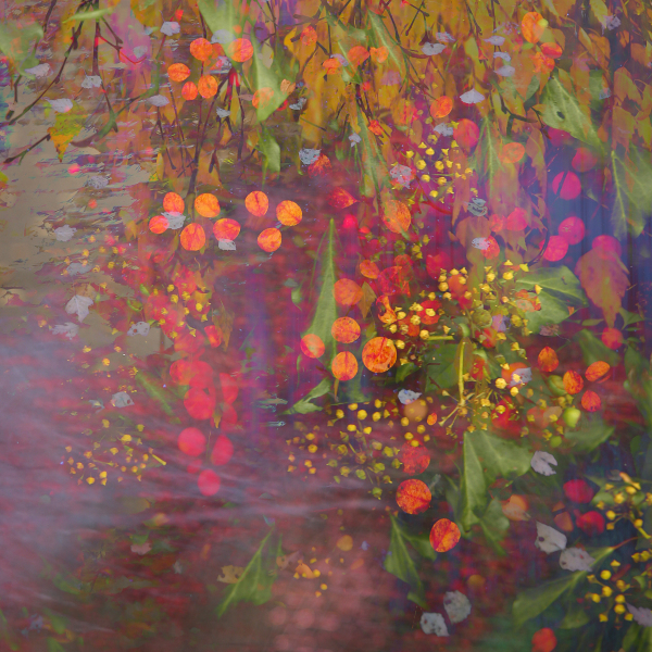 6-autumn-tapestry- hedgerow-berries