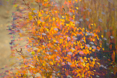 5-autumn-colours-birch-tree-impression