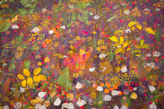 1-autumn-colours-hedgerow-tapestry