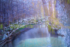Cambridge-Queens'-Mathematical-Bridge