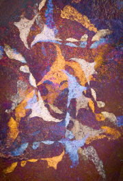 WJ0A9404-Edit-Edit