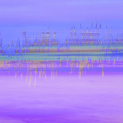 WJ0A9575