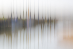 1_WJ0A3391-Edit