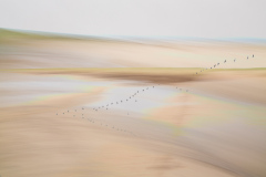 coastal-impressions-Holme