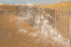 coastal-impressions-Holkham