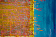 Coastal Fringe