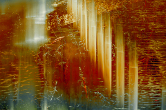 Arising