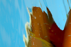 orange-boat-abstract