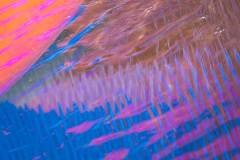 orange-boat-abstract