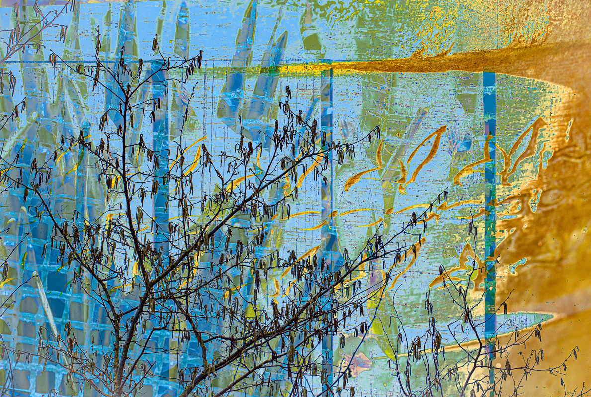 CATKIN ABSTRACT