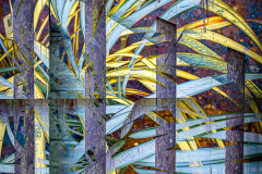 FENCED PHORMIUM