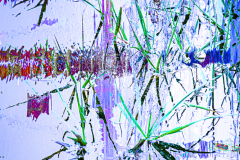 IMPRESSIONS OF THE NORFOLK COAST