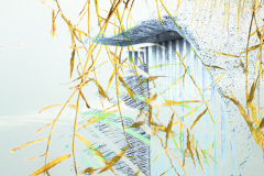 Impressions of Norfolk coast 11