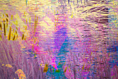 Impressions of Norfolk coast 15