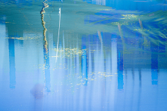 Impressions of Norfolk coast 17