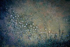 Impressions of Norfolk coast 25