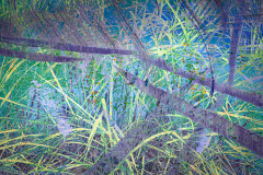 Impressions of Norfolk coast 28