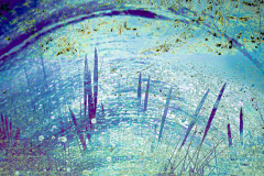 Impressions of Norfolk coast 29