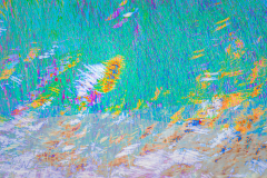 Impressions of Norfolk coast 34