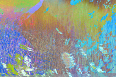 Impressions of Norfolk coast 35