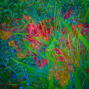 garden-lockdown