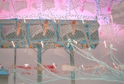 Netted 1