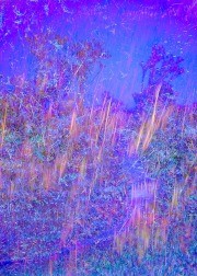 saltmarsh-blues