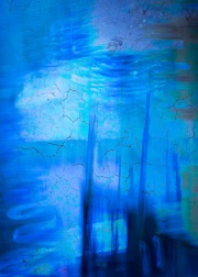 saltmarsh-blues