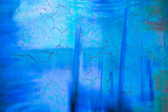 SALTMARSH BLUES