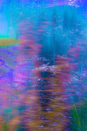 saltmarsh-blues