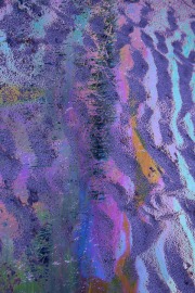 saltmarsh-blues