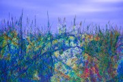 saltmarsh-blues