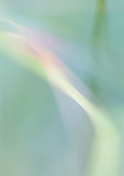 Impressionist-grasses
