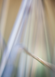 Impressionist-grasses