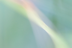 Impressionist-grasses