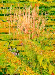 WJ0A7957