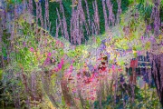 WJ0A7962-Edit