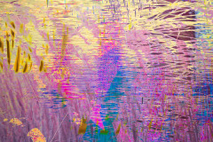 sun-beats-down-abstract